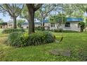 Charming home with a tree swing in the front yard at 4915 W Melrose N Ave, Tampa, FL 33629