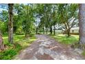 Long driveway leading to a house through a wooded area at 7249 Berry Rd, Zephyrhills, FL 33540