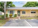 Front view of tan house with green door and landscaping at 2465 Northside Dr # 701, Clearwater, FL 33761