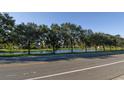 Road with lush trees and houses on the other side of the waterway at 2451 E Del Webb Blvd, Sun City Center, FL 33573