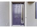 Purple front door with glass sidelights and a modern style at 19065 Malinche Loop, Spring Hill, FL 34610