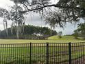 Backyard with a grassy area, trees, and a black fence at 3372 Walnut Ne St, St Petersburg, FL 33704