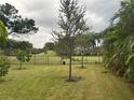 Backyard with a grassy area, trees, and a black fence at 3372 Walnut Ne St, St Petersburg, FL 33704