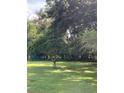 Large backyard with lush trees and plenty of green space at 2705 Ranch Rd, Dover, FL 33527