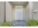 Inviting entryway with a light gray door and hexagonal tile floor at 8057 Rolling Shell Trl, Wesley Chapel, FL 33545