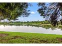 Scenic water view featuring a grassy shoreline, trees and birds flying over the lake at 214 Cape Harbour Loop # 105, Bradenton, FL 34212