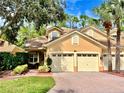 View 7419 Purslane Dr Trinity FL