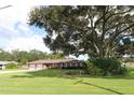 Ranch-style brick home with a large yard and mature oak tree at 5302 Turkey Creek Rd, Plant City, FL 33567