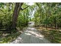 Long private driveway leading to a home surrounded by a lush greenbelt at 22426 Golden Retriever Ln, Brooksville, FL 34601