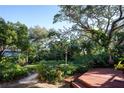 Spacious backyard with lush landscaping and a deck at 2406 S Clark Ave, Tampa, FL 33629
