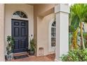Black front door with arched window and potted plants at 30552 Latourette Dr, Wesley Chapel, FL 33545