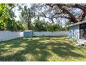 Spacious backyard with a shed and large shade tree at 3405 E 33Rd Ave, Tampa, FL 33610