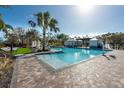 Inviting resort-style pool with brick pavers and lounge chairs at 10348 Blue Plume Ct, Riverview, FL 33578