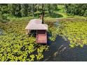 Private boat dock on a serene lake at 7734 Still Lakes Dr, Odessa, FL 33556