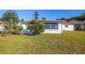 Large backyard with overgrown grass and a partially visible patio at 4624 Compass Ct, New Port Richey, FL 34652