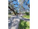 Long driveway leading to a single-Gathering home with mature trees at 2615 S Hawthorne Cir, Tampa, FL 33629