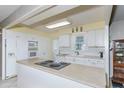 Bright kitchen with white cabinets, island, and modern appliances at 176 Philadelphia Lot 5 Blvd, Palm Harbor, FL 34684