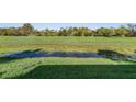 Backyard with grassy area and a small pond at 10520 Collar Dr, San Antonio, FL 33576