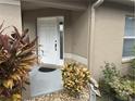 White front door with landscaping and walkway at 6812 Aramon Ct, Wesley Chapel, FL 33545