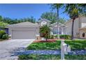 Charming one-story home featuring a well-manicured lawn, mature trees, and an attached two-car garage at 15501 Pepper Pine Ct, Land O Lakes, FL 34638