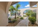 Pathway leading to the front entrance, with landscaping and a palm tree at 1556 Fayetteville Dr, Spring Hill, FL 34609