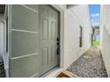 Quaint front door entrance with a walkway leading to the home at 3551 Magnolia Ridge Cir # 702, Palm Harbor, FL 34684