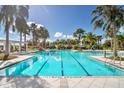 Resort-style pool with palm trees and lounge chairs at 11633 Mandevilla View Way, Riverview, FL 33579