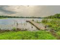 Wooden dock extending into a calm lake at 15612 Howell Park Ln, Tampa, FL 33625