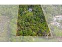 Expansive property highlighted with a marked boundary, and a single home surrounded by forest canopy at 5143 Culbreath Rd, Brooksville, FL 34601