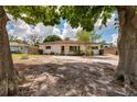 Single-story home with mature trees in the front yard at 8950 3Rd N St, St Petersburg, FL 33702