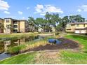 Community pond showcasing multiple buildings with mature trees and manicured lawns at 10108 Courtney Oaks Cir # 203, Tampa, FL 33619