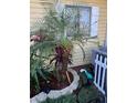 Neatly landscaped backyard with a white picket fence at 22604 Watersedge Blvd # 155, Land O Lakes, FL 34639