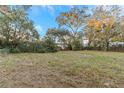 Large backyard with mature trees and open space at 615 16Th Nw St, Largo, FL 33770