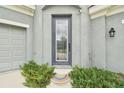 Modern front door with glass panels and a rainbow doormat at 6317 Brevada Ln, Apollo Beach, FL 33572