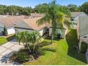 An aerial view of the property, highlighting its location and landscaping at 9708 Little Pond Way, Tampa, FL 33647