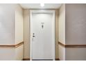 White condo entry door with a simple gold colored door knocker at 2333 Feather Sound Dr # A509, Clearwater, FL 33762