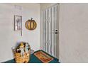 Condo entry with security door and autumnal decor at 3970 37Th S St # 14, St Petersburg, FL 33711