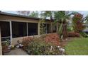Backyard with palm trees and shrubs at 7054 Hibiscus S Ave, South Pasadena, FL 33707