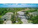 Aerial view of a gray two-story home with tropical landscaping near a pond and wooded area at 12013 Whistling Wind Dr, Riverview, FL 33579
