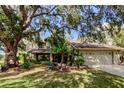 House with mature trees, landscaped yard, and attached garage at 390 Cypress Creek Cir, Oldsmar, FL 34677