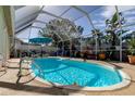 Inviting screened-in pool with lounge chairs at 8622 Thimbleberry Ln, Tampa, FL 33635