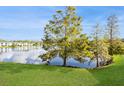 Serene lakefront view with mature trees and lush green grass at 302 Woodlake Wynde # 3, Oldsmar, FL 34677