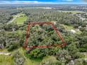 Aerial view of a large lot with mature trees, offering privacy and potential at 16206 Boyette Rd, Riverview, FL 33579