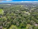 Aerial view showcasing a spacious lot abundant with lush greenery at 16206 Boyette Rd, Riverview, FL 33579