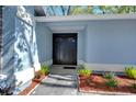 House entrance with double black doors and manicured landscaping at 4608 Glenside Cir, Tampa, FL 33624