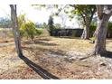 Backyard with mature trees, grass, and a chain link fence at 12663 Eddington Rd, Spring Hill, FL 34609
