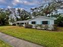 Street view showcasing a well-kept lawn and a charming home with blue shutter accents at 637 Jamaica Ave, Tampa, FL 33606