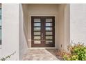 Modern double front doors with glass panels at 15136 Hennipen Cir, Port Charlotte, FL 33981