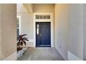 Elegant dark blue front door entryway with sidelights at 11217 Avery Oaks Dr, Tampa, FL 33625