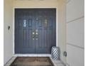 Elegant double front doors with glass accents welcoming you home at 14190 Fennsbury Dr, Tampa, FL 33624